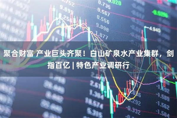 聚合财富 产业巨头齐聚！白山矿泉水产业集群，剑指百亿 | 特色产业调研行