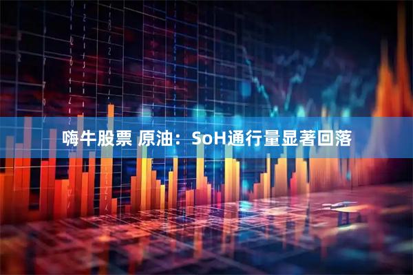 嗨牛股票 原油：SoH通行量显著回落