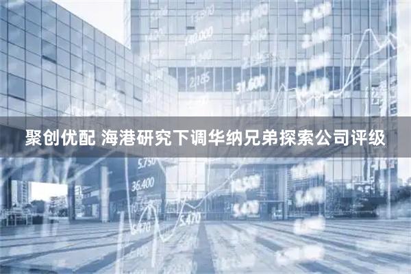 聚创优配 海港研究下调华纳兄弟探索公司评级