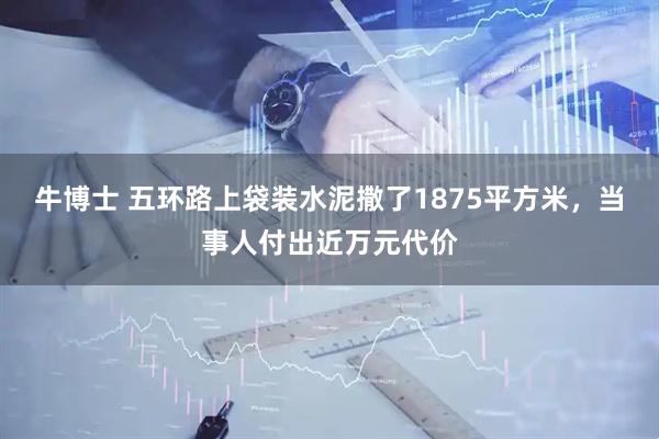 牛博士 五环路上袋装水泥撒了1875平方米，当事人付出近万元代价
